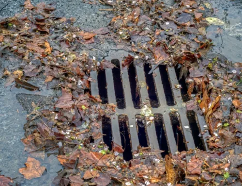 How to Handle a Blocked Storm Water Drain Holland Park