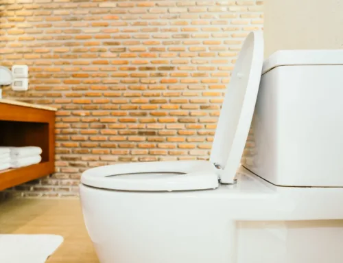 Smart Ways to Clear Blocked Toilet Drains in Holland Park