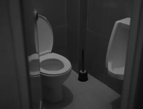 Blocked Toilet Drain Prevention Tips for Holland Park Homes